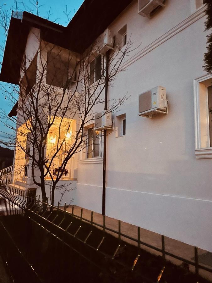 Готель Cochet Boutique Тиргу-Жіу Екстер'єр фото